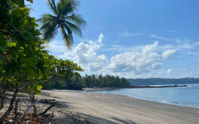Guida completa al Costa Rica per viaggiatori indipendenti + itinerario